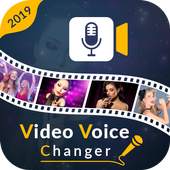 Video Voice Changer 1.1