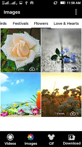 Video Status  Application screenshot 4