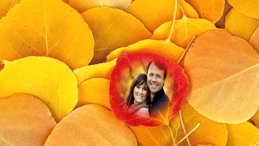 Leaf Photo Frames screenshot 3