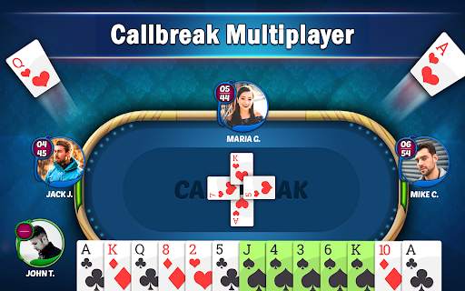 Callbreak Star - Card Game screenshot 9