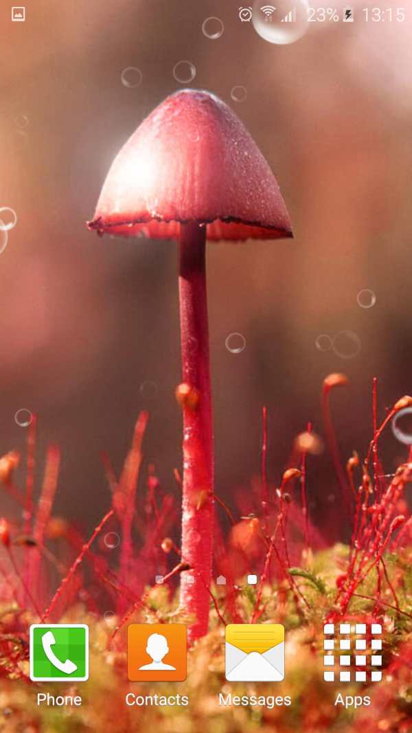 Mushrooms Live Wallpaper स्क्रीनशॉट 4
