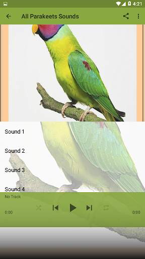 Bird Sounds : Parakeets screenshot 1