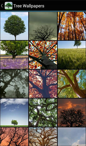 Tree Wallpapers screenshot 2