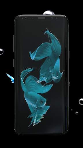Betta Fish Wallpaper screenshot 8