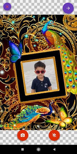 Bird Photo Frames Editor: DP, Quotes, Greeting screenshot 4