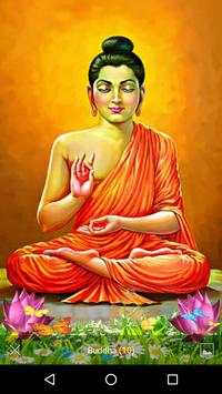 Buddha Wallpapers screenshot 4