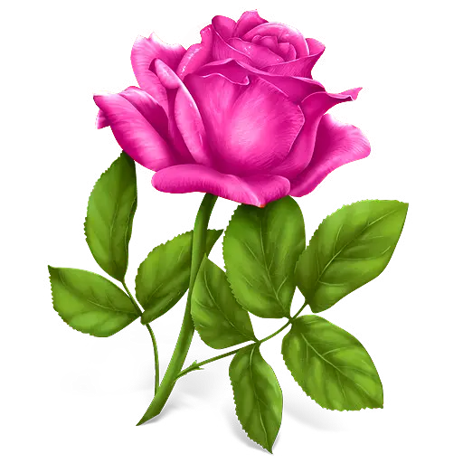 Good morning Flowers Roses 4K screenshot 1