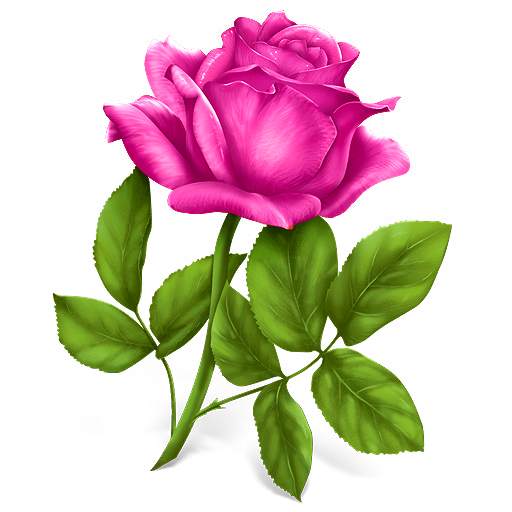 Good morning Flowers Roses 4K screenshot 1