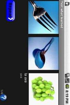 Pocket Languages 3 تصوير الشاشة