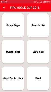 FIFA WORLD CUP 2018 screenshot 2