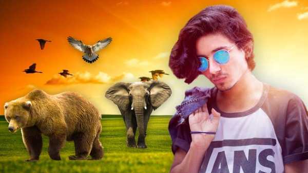 Wild Animal Photo Editor-Animal Photo Frame Editor screenshot 4