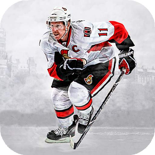 Hockey Wallpaper HD : backgrounds & themes 16.0