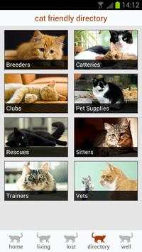 my cat screenshot 4