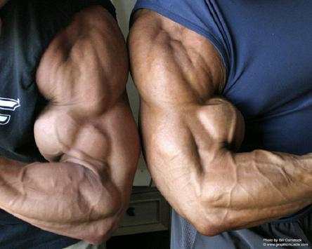 BIG BOY BICEPS WORKOUT:TIPS screenshot 6