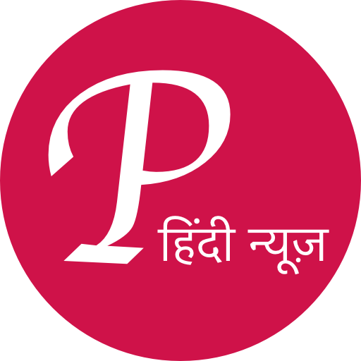 Public Hindi Local News icon