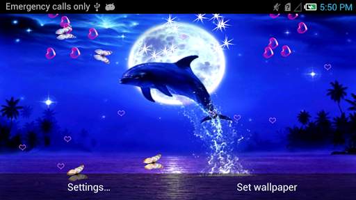 Dolphin Live Wallpaper screenshot 8