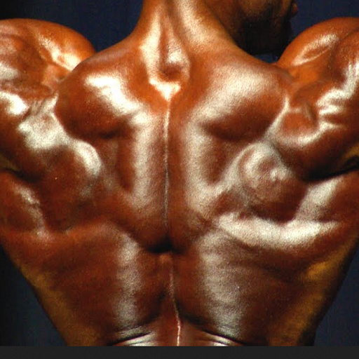 Mass Muscle Building icon