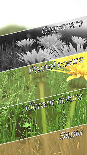 Spring Flowers 3D LWP screenshot 3