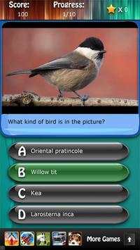 Bird Species Quiz HD screenshot 4