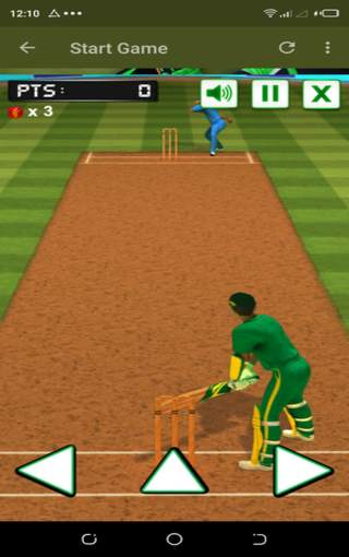Cricket Batter Challenge screenshot 4