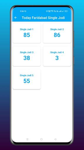 Faridabad Satta King Result screenshot 2