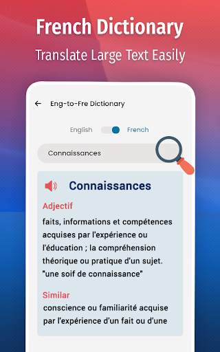 French Chat Translator screenshot 4