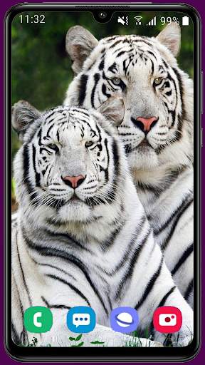 Royal Tiger Wallpaper HD 8 تصوير الشاشة