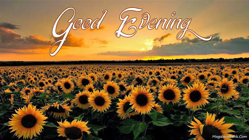 Good Evening Images 4 تصوير الشاشة
