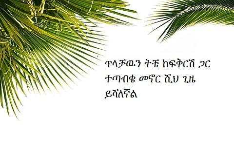 እኔና አንቺ 2 - Ethiopian Couples Romance 2 screenshot 10