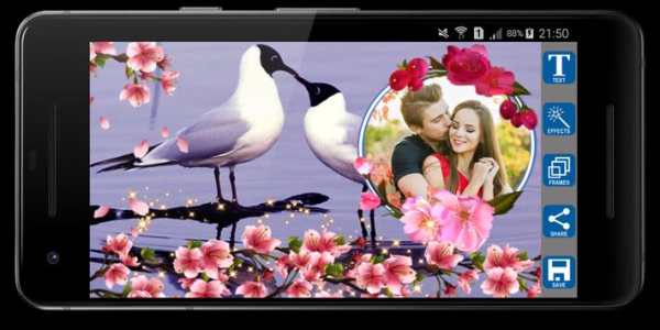 Love Birds Photo Frames screenshot 5