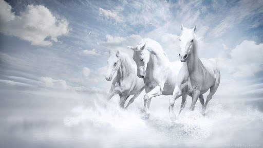 Horse Racing Latest News screenshot 1