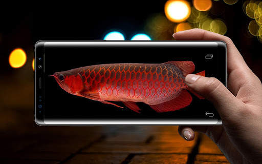 Red Arowana 3D LiveWallpaper screenshot 1