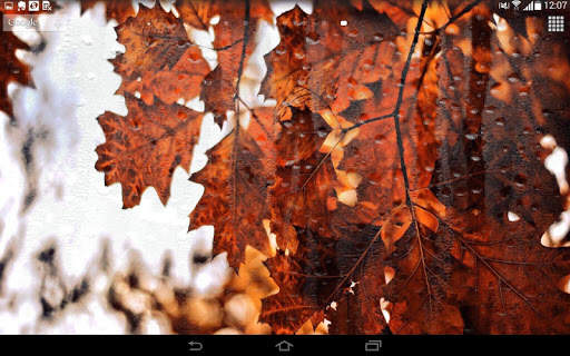 Spring Leaf wallpapers screenshot 5