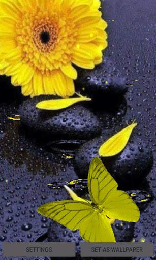 Yellow Butterfly Live Wallpaper screenshot 3