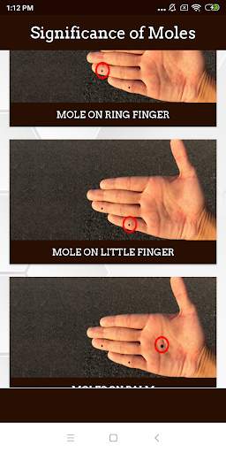 Meaning of Moles screenshot 5