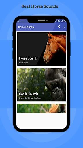 Horse Sounds скриншот 1