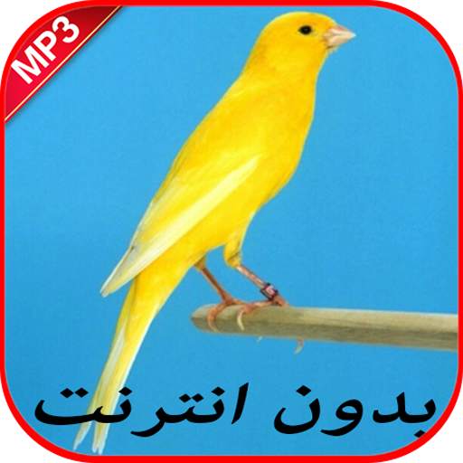 صوت الكناري بدون نت 4.3
