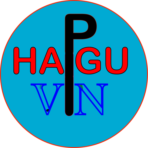 HAGU VPN icon
