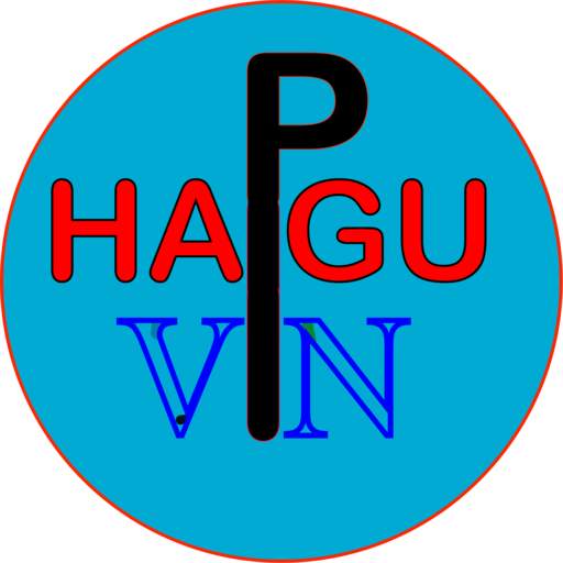 HAGU VPN 1.0
