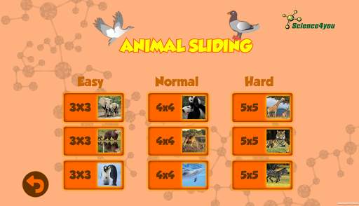 Educational Mini Games स्क्रीनशॉट 2