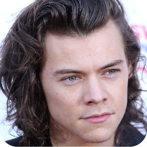 Harry Styles Music icon