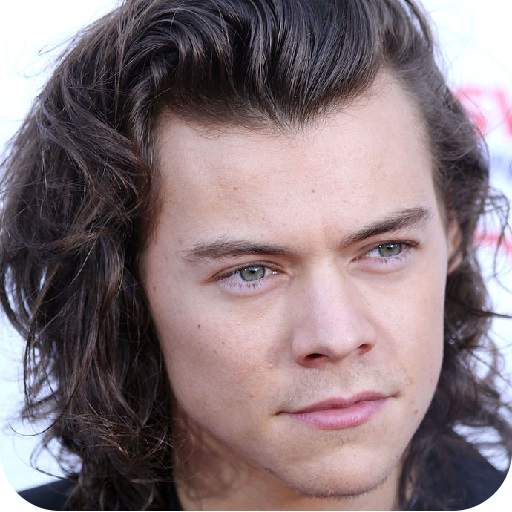 Harry Styles Music 1.0
