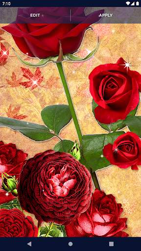 3D Red Rose Live Wallpaper 5 تصوير الشاشة