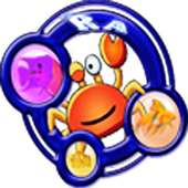 Shoot Fish Bubble