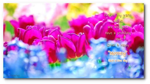 Good Morning Night flower wish screenshot 3