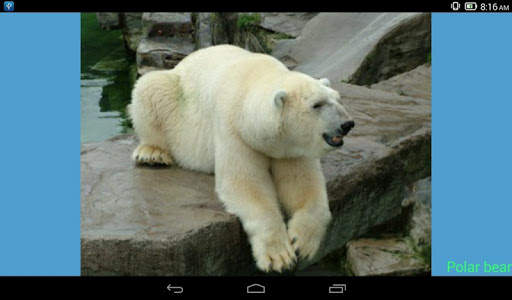 Animals Quiz & Infos скриншот 8