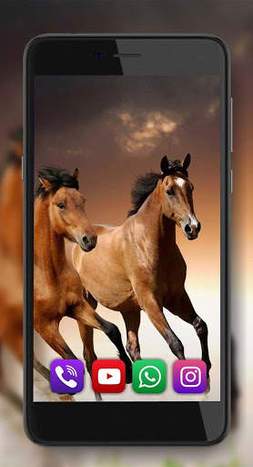 Wild Horses screenshot 2