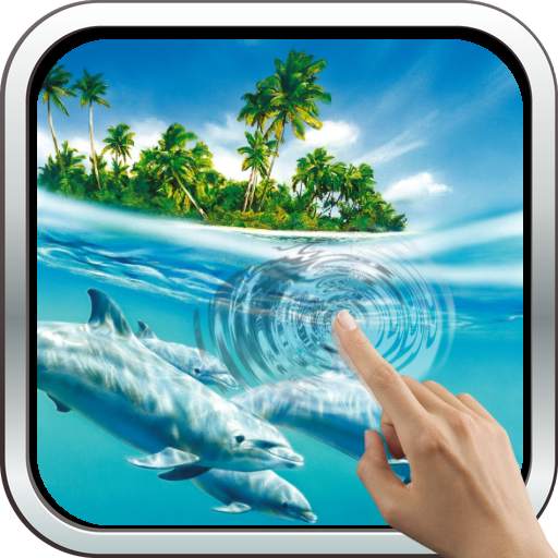 Magic Touch: Dolphins 11.0