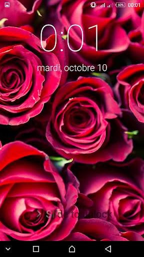 Roses Flowers Spring Lock Screen screenshot 2