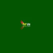 FNF Lite 3.9.0